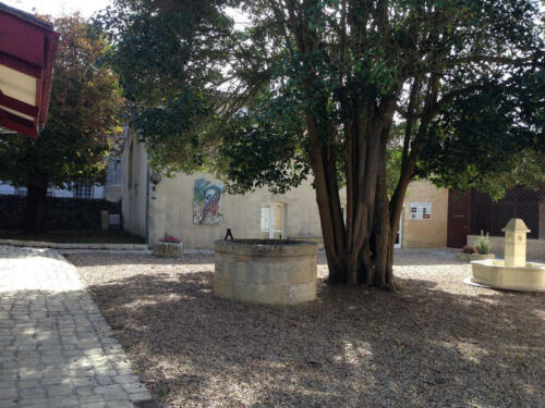 « Promenade végétale en Haute Gironde »